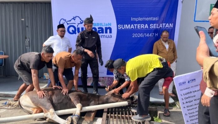 BRI Region 4 Palembang Distribusikan 45 Hewan Kurban di Berbagai Daerah di Sumsel, Jambi dan Kepulauan Bangka