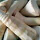 Rebung, Si Renyah dari Tunas Bambu yang Menyimpan Segudang Khasiat bagi Kesehatan